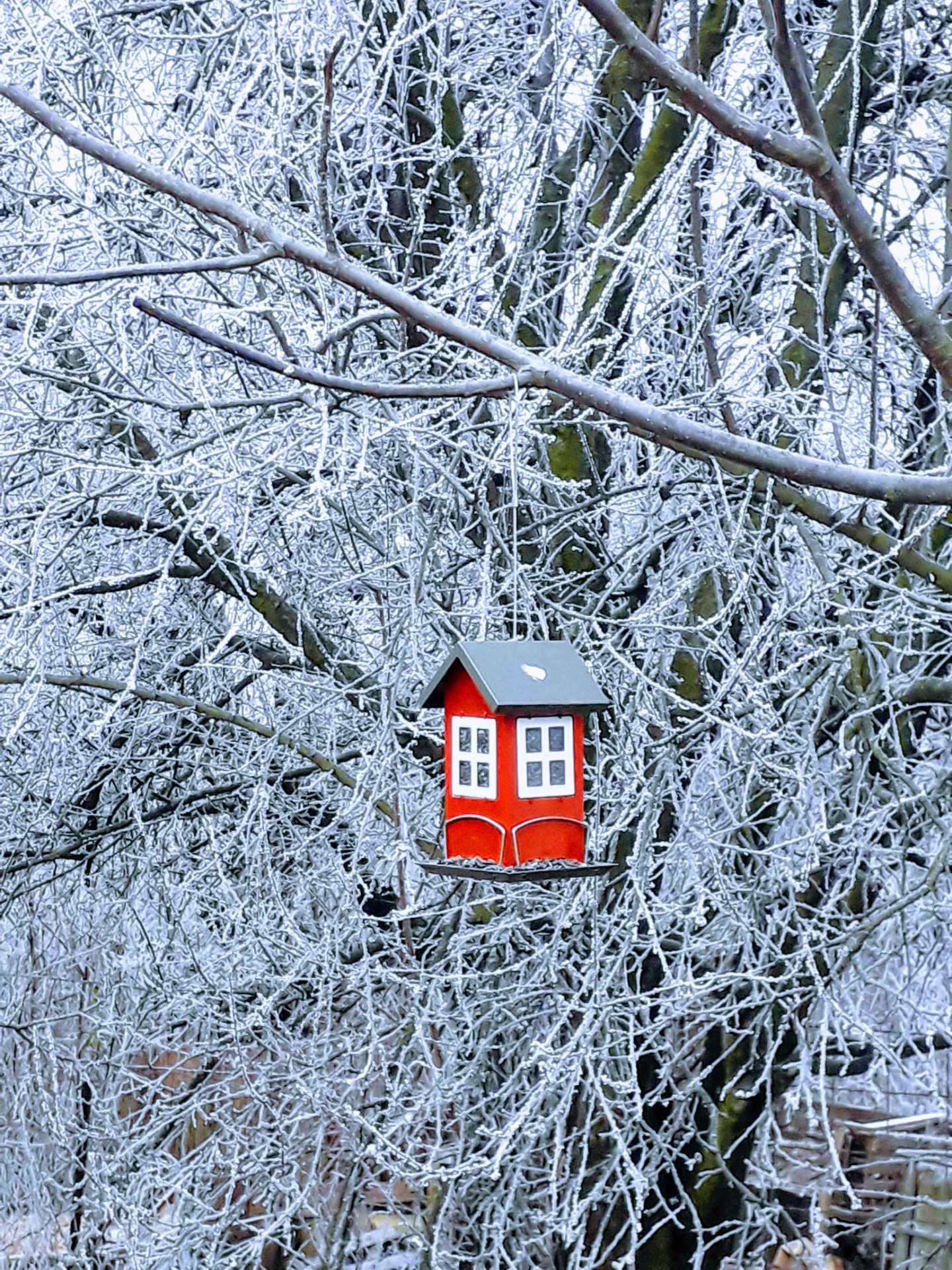 TÉLI MESEVILÁG❄️☃️
